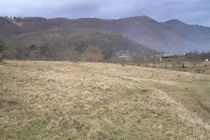 Plot