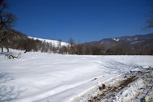 View from plot winter 2018