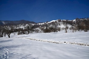 View from plot winter 2018