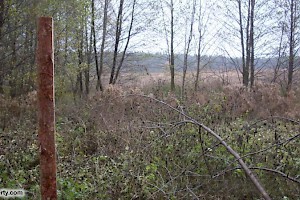 Site views