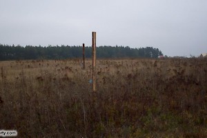 The site