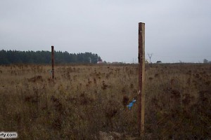 Forest nearby