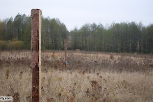 Site