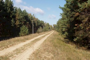 Access road
