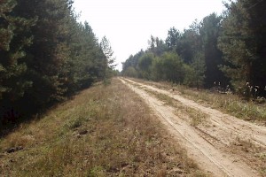 Access road