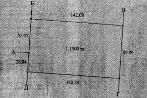 Plot