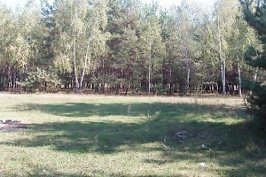 Woods in area