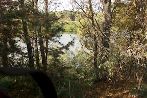 Lake views