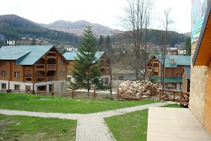 The complex