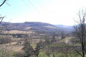 View from plot