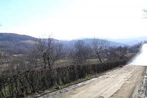 Local area