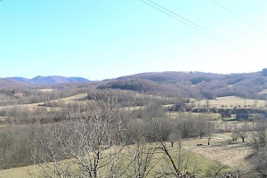 Local view