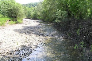 Local area