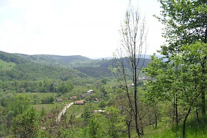 Local area