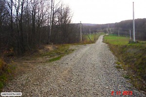 Local area