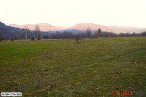 Local area