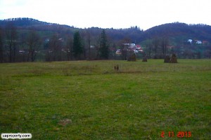 Local area