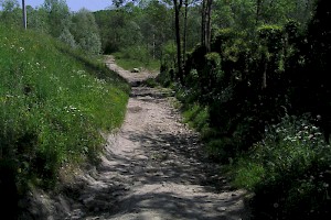 Local area