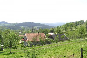 Local area