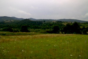Plot