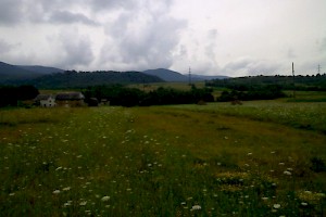 Houses nearby