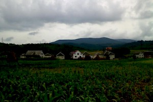Houses nearby