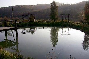 Large pond