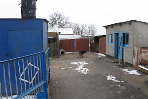Yard area