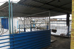 Outbuildings