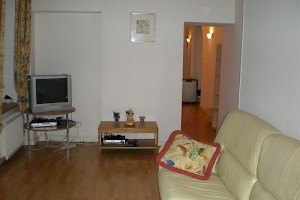 Living room in Kiev apartment