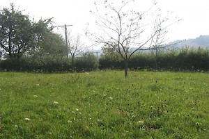 Building plot in Carpathians