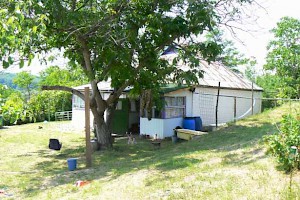Back of cottage