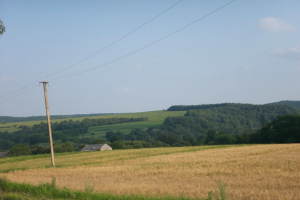 Fields around village