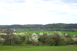 Village view