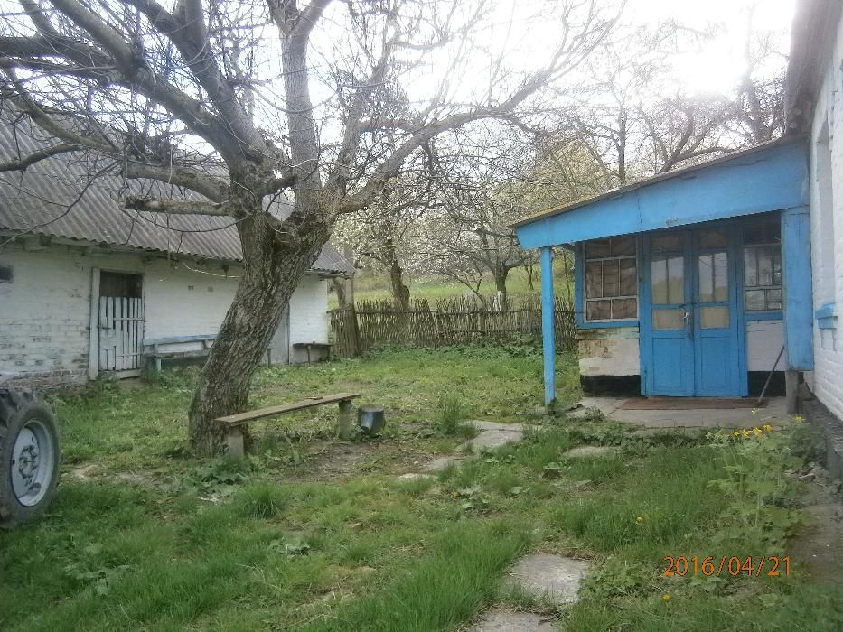 cottage with land for sale in Ukraine